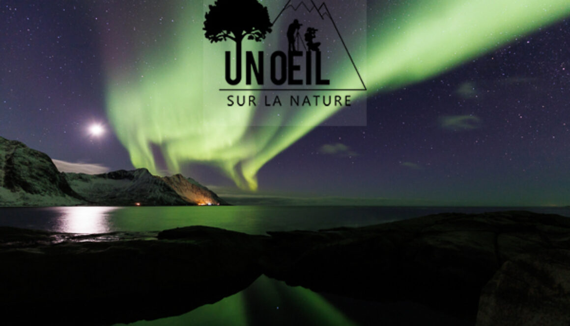 Stages et voyages photo avec Un Œil sur la Nature