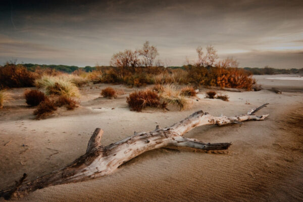 Automne en Camargue - Yvan Laussel_b