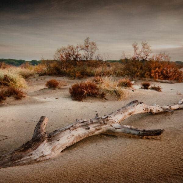 A00 - Exposition Ambassadeurs