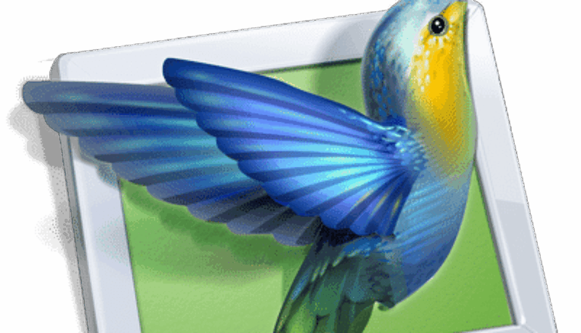 PTE v12 PicturesToExe