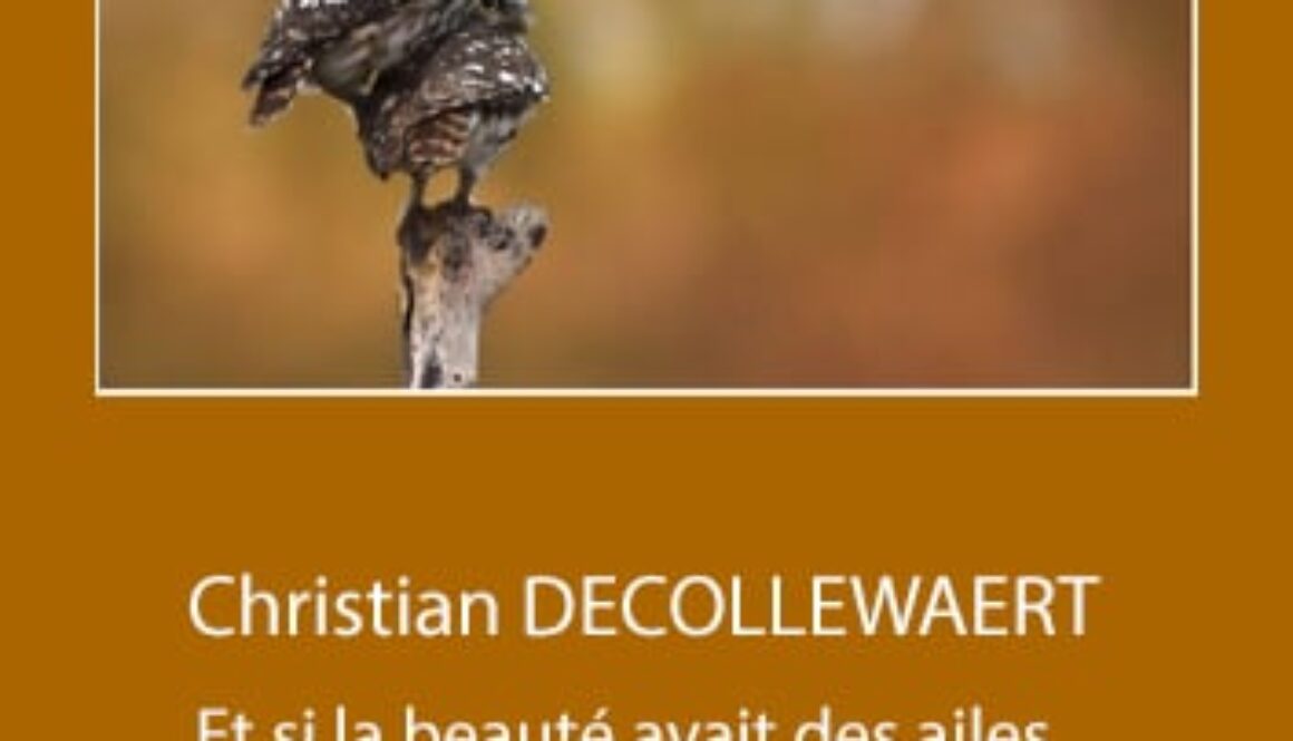 2602 COUV SITE 500X353