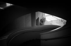 Voir les images Voir les images