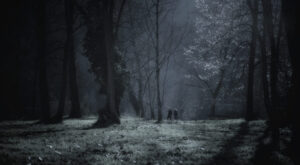 12 - La forˆt myst‚rieuse 12 - La forˆt myst‚rieuse