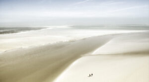 14 - L'estuaire 14 - L'estuaire